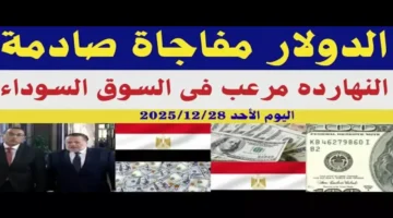 سعر مفاجئ.. بنك واحد يطرح أرخص قيمة لصرف الدولار في مصر